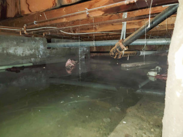  Hawley, PA Water damage restoration Pros