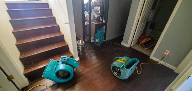 Best Sewage cleanup and water damage restoration  in Hawley, PA