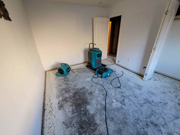 Best Basement water damage restoration  in Hawley, PA