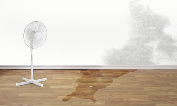 Best Emergency water damage restoration  in Hawley, PA