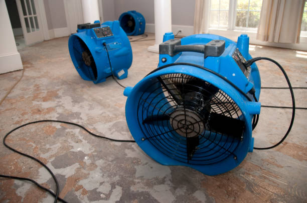 Best Fire Damage Restoration  in Hawley, PA