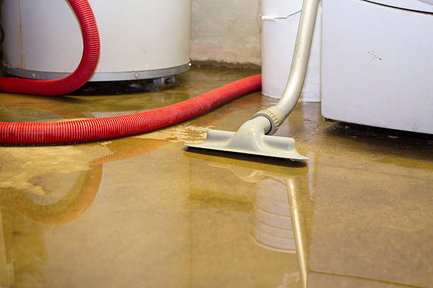 Best Water damage restoration near me  in Hawley, PA