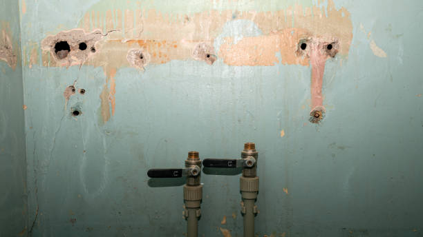 Best Local water damage restoration  in Hawley, PA